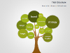 Cause and Effect Tree Diagrams For PowerPoint - slide5