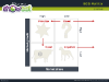 BCG Matrix for Powerpoint - screenshot 08