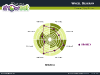 Wheel diagrams for PowerPoint - slide5
