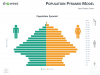 Population Pyramid Model