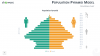 Population Pyramid Model for PowerPoint