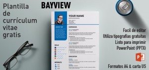 Bayview Curriculum Vitae para PowerPoint