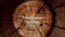Wooden Logs PowerPoint Template - Section Slide