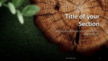 Wooden Logs PowerPoint Template - Section Slide