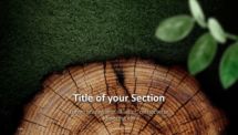 Wooden Logs PowerPoint Template - Section Slide (option 3)