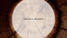 Wooden Logs PowerPoint Template - Picture Placeholder