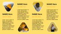 Luna - PowerPoint and Google Slides Template (Yellow) - Slide 09