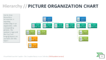 Picture Organization Chart-SmartArt-PowerPoint