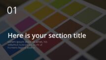 Oki - Multipurpose PowerPoint Template - Section Slide