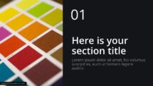 Oki - Multipurpose PowerPoint Template - Section Slide