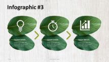 Wooden Logs PowerPoint Template - Infographic Leaves Process