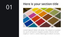 Oki - Multipurpose PowerPoint Template - Section Slide