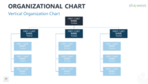 Vertical Organization Chart for PowerPoint