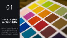 Oki - Multipurpose PowerPoint Template - Section Slide