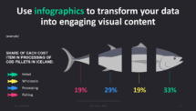 Dark Pro PowerPoint Template - Infographics (example)