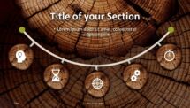 Wooden Logs PowerPoint Template - Infographics