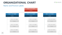 Organizational Chart with Name and Position Labels for PowerPoint