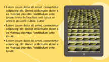 Luna - PowerPoint and Google Slides Template (Yellow) - Slide 25