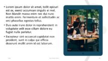 NETWORK - Modern Template for PowerPoint with a Tablet Mockup