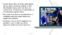 NETWORK - Modern Template for PowerPoint with a Laptop Mockup
