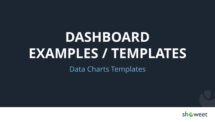 Dashboard Examples / Templates