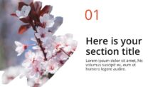 Oki - Multipurpose PowerPoint Template - Brush Picture Placeholder Section Slide