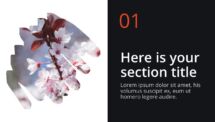 Oki - Multipurpose PowerPoint Template - Brush Picture Placeholder Section Slide