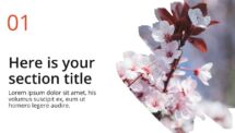 Oki - Multipurpose PowerPoint Template - Brush Picture Placeholder Section Slide