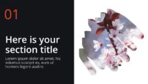 Oki - Multipurpose PowerPoint Template - Brush Picture Placeholder Section Slide
