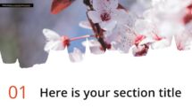 Oki - Multipurpose PowerPoint Template - Brush Picture Placeholder Section Slide