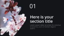 Oki - Multipurpose PowerPoint Template - Brush Picture Placeholder Section Slide