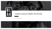 BLAK PowerPoint Template - Cover Slide 3