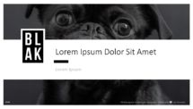 BLAK PowerPoint Template - Cover Slide 3