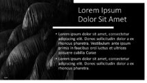 BLAK PowerPoint Template - Picture Placeholder 1