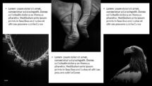 BLAK PowerPoint Template - Picture Placeholders 4