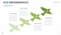 4-step Flying Birds diagram from the Eco Infographics template for PowerPoint and Google Slides, ideal for showing progress or motion.