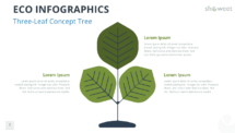 Tree diagram with 3 leaves from the Eco Infographics template for PowerPoint and Google Slides to present key eco-friendly ideas.