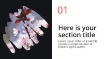 Oki - Multipurpose PowerPoint Template - Brush Picture Placeholder Section Slide