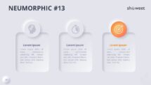 Slide 13 of Neumorphic diagram with light background for engaging presentations