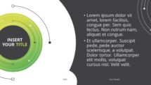 Slide 4 - Vinyl PowerPoint Template - Green (Blank)