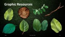 Wooden Logs PowerPoint Template - Graphic Resources