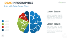 Ideas - Infographics for PowerPoint - Brain with Data-Drive Chart