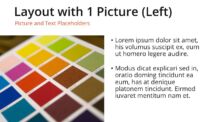 Oki - Multipurpose PowerPoint Template - Picture Placeholder