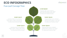Five-leaf tree diagram from the Eco Infographics template for PowerPoint and Google Slides to show five related green concepts.