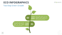 Vertical stem diagram with two stages from the Eco Infographics template for PowerPoint and Google Slides for simple progress steps.