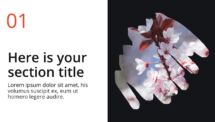 Oki - Multipurpose PowerPoint Template - Brush Picture Placeholder Section Slide