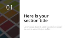 Oki - Multipurpose PowerPoint Template - Section Slide