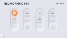 Slide 14 of Neumorphic diagram with light background for engaging presentations