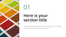 Oki - Multipurpose PowerPoint Template - Section Slide