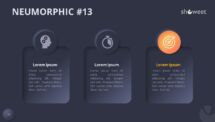 Slide 13 of Neumorphic diagram with dark background, enhancing visual impact